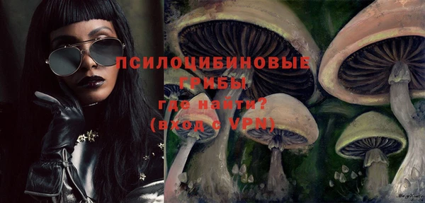 ПСИЛОЦИБИНОВЫЕ ГРИБЫ Аркадак