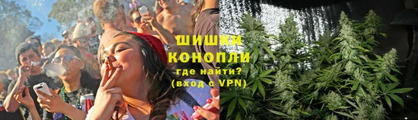 ПСИЛОЦИБИНОВЫЕ ГРИБЫ Аркадак